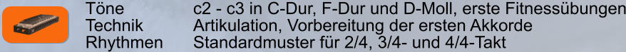 Töne        		c2 - c3 in C-Dur, F-Dur und D-Moll, erste Fitnessübungen Technik     	Artikulation, Vorbereitung der ersten Akkorde Rhythmen    	Standardmuster für 2/4, 3/4- und 4/4-Takt