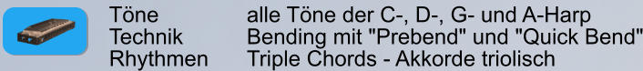 Töne        		alle Töne der C-, D-, G- und A-Harp Technik     	Bending mit "Prebend" und "Quick Bend" Rhythmen    	Triple Chords - Akkorde triolisch