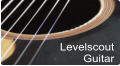 Levelscout Guitar