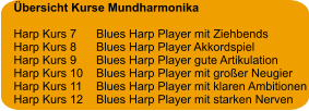 Übersicht Kurse Mundharmonika  Harp Kurs 7	Blues Harp Player mit Ziehbends Harp Kurs 8	Blues Harp Player Akkordspiel Harp Kurs 9	Blues Harp Player gute Artikulation Harp Kurs 10	Blues Harp Player mit großer Neugier Harp Kurs 11	Blues Harp Player mit klaren Ambitionen Harp Kurs 12	Blues Harp Player mit starken Nerven