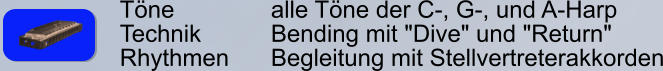 Töne        		alle Töne der C-, G-, und A-Harp Technik     	Bending mit "Dive" und "Return" Rhythmen    	Begleitung mit Stellvertreterakkorden