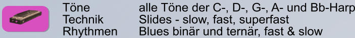 Töne        		alle Töne der C-, D-, G-, A- und Bb-Harp Technik     	Slides - slow, fast, superfast Rhythmen    	Blues binär und ternär, fast & slow